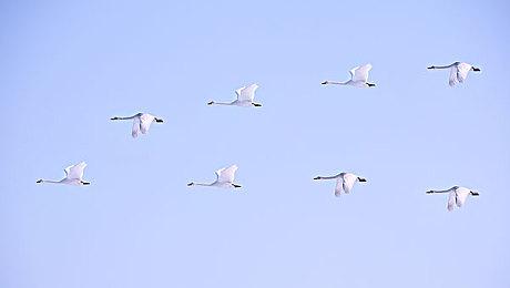 《星刃》PC版卖爆了！金亨泰发文感谢所有玩家